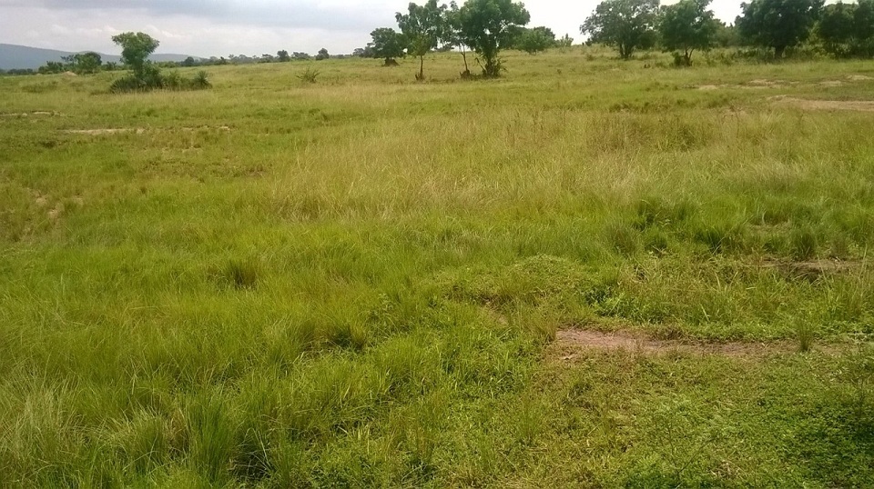 We Buy Land In IA