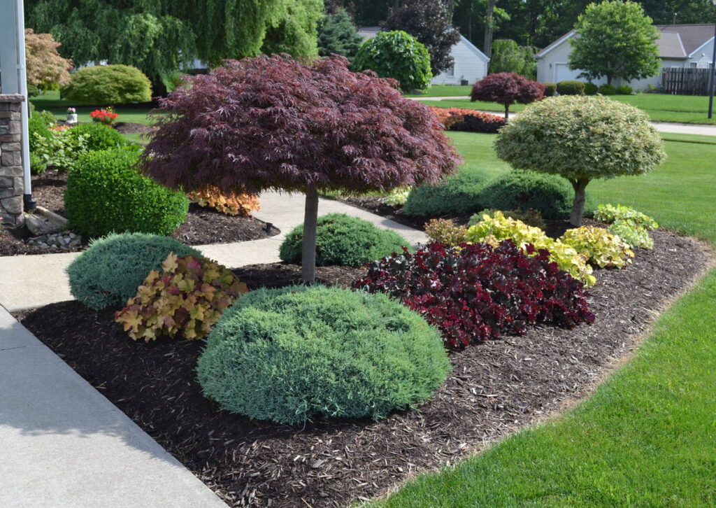 Landscaping Coral Spring FL